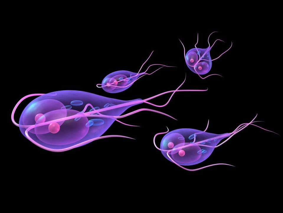 Giardia az emberi testből